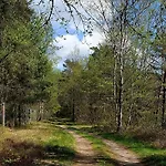 Luft Und Erde * Celle