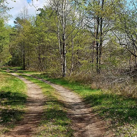 Luft Und Erde Celle